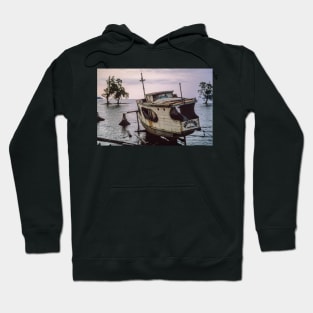 Boat amongst the Mangroves Hoodie